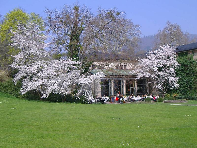 Fruehling in Baden Baden (14) 
